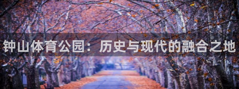 必一运动官网入口