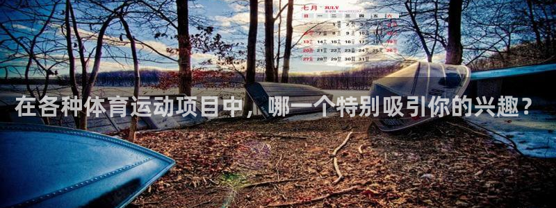 必一运动体育官网入口