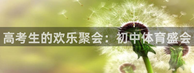 bsports必一运动