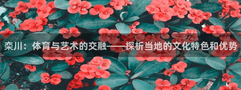 必一运动体育