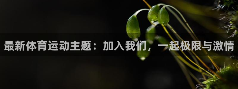 必一运动体育