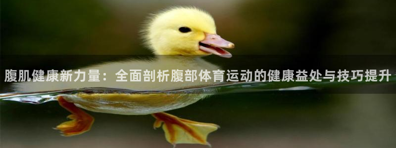 必一运动体育官网