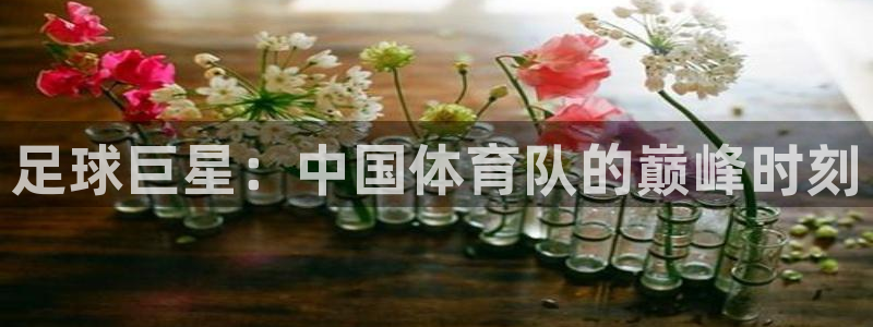 必一运动体育官网入口