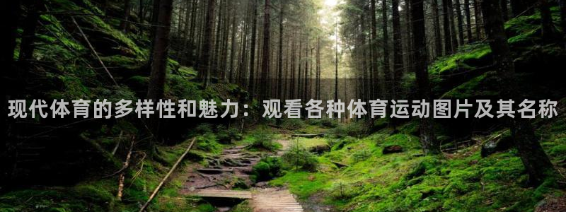 b体育必一运动官网
