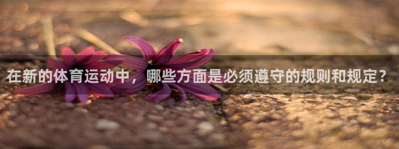 bsports官网 必一运动