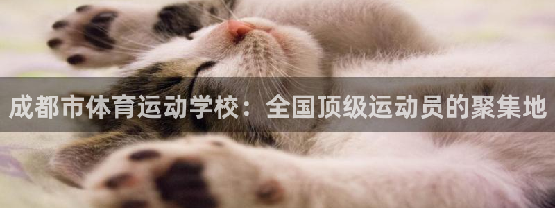 必一运动体育官网入口